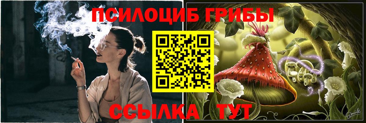 Галлюциногенные грибы Psilocybine cubensis  Галлюциногенные грибы ЛСД  даркнет сайт  Вход с VPN  Урай 