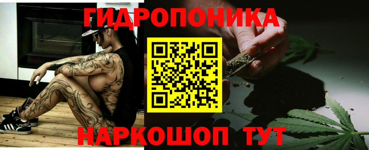 Шишки марихуана семена Урай